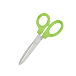 Regular Kitchen Scissors