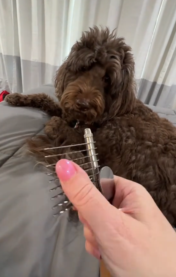 Review by Christine D.