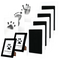 Paw Print Kit