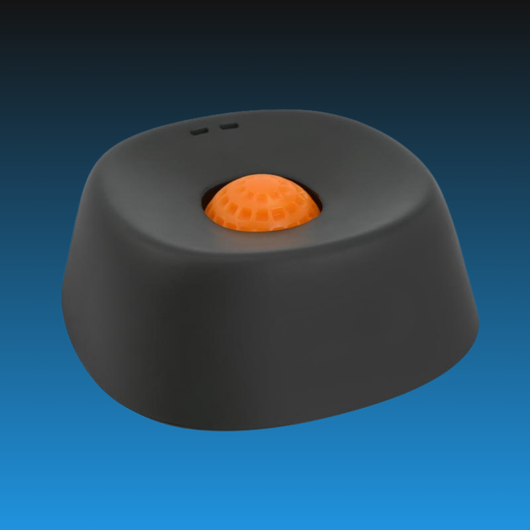 Slow Feeder Bowl