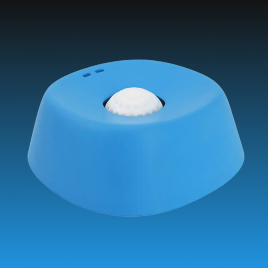Slow Feeder Bowl