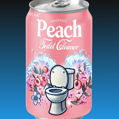 Soda Can Toilet Bowl Cleaner