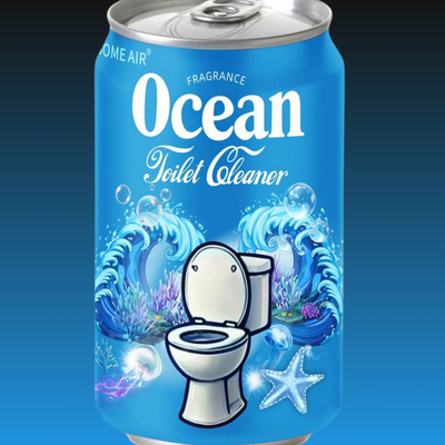Soda Can Toilet Bowl Cleaner