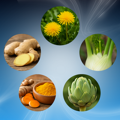 Botanical Belly Support