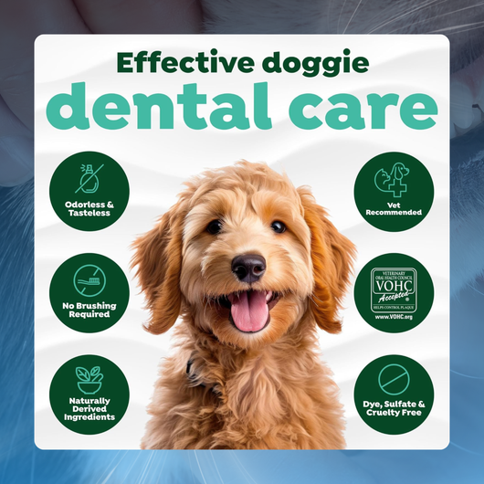 Oral Care Water Additive for Pets