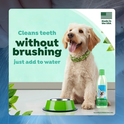 Oral Care Water Additive for Pets