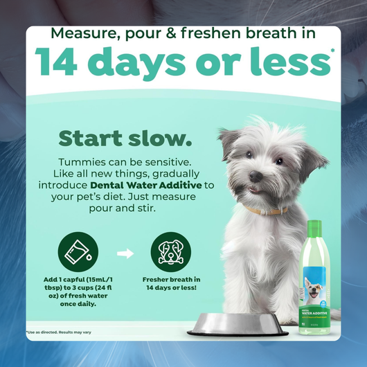 Oral Care Water Additive for Pets