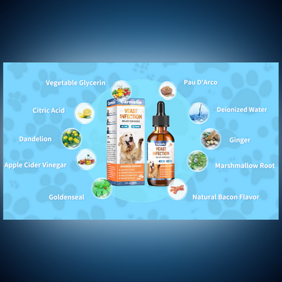 Premium Natural Ingredients