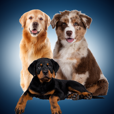 Soothing and Restorative