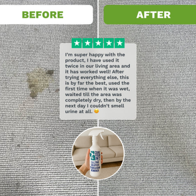 Urine Stain & Odor Remover