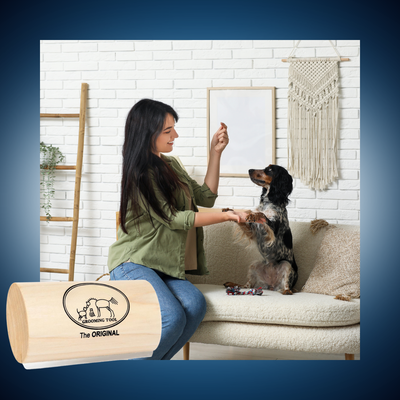 Cleaner Pet, Cleaner Home