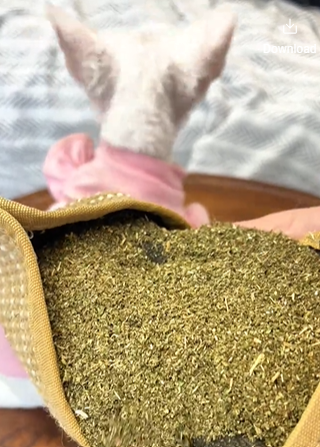 Review by Cynthia M.