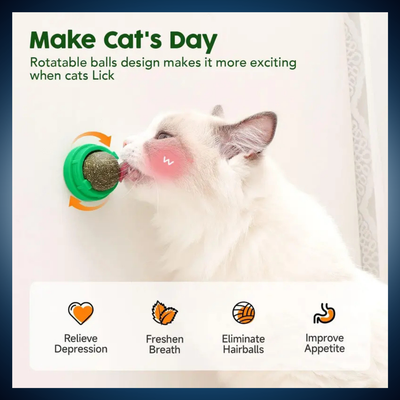 Smooth Rotating Ball