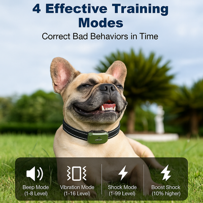 TrainPro Dog Training Collar