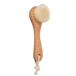 Typical  Cleansing Brush