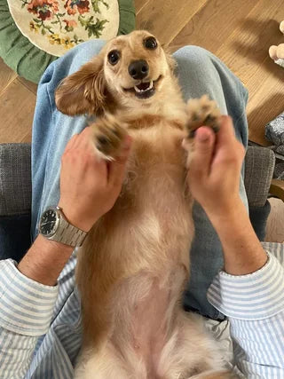 Review by Madison B.