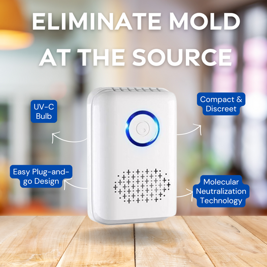 AirSentry Mold Spore Eliminator