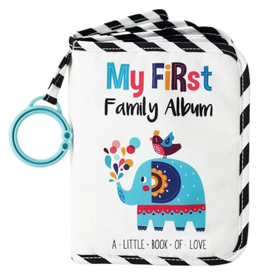FREE Mini Photo Album
