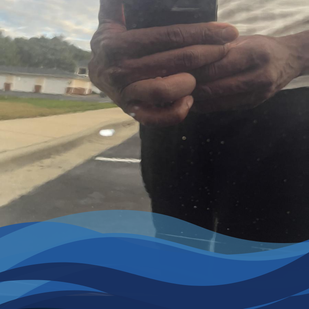 Let It Dry and Shine