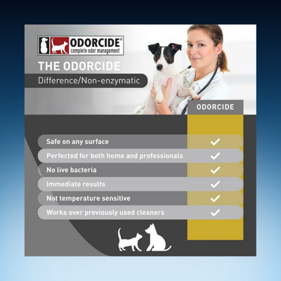 All-In-One Cleaning + Odor Removal
