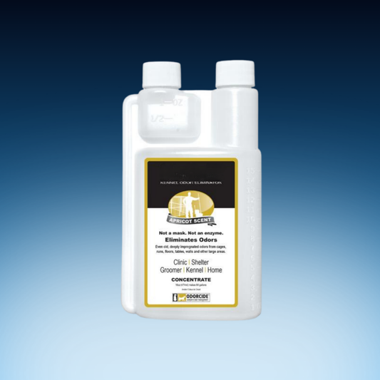 All-In-One Cleaning + Odor Removal