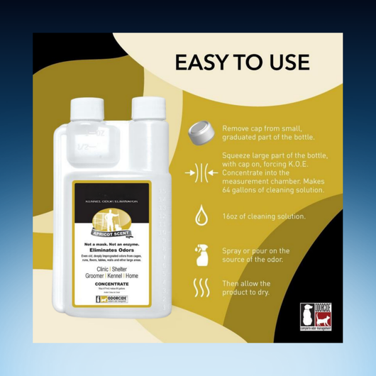 All-In-One Cleaning + Odor Removal