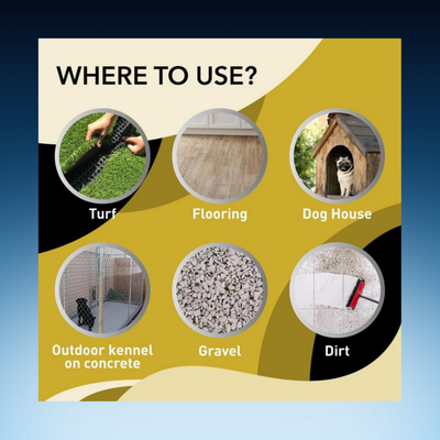 All-In-One Cleaning + Odor Removal