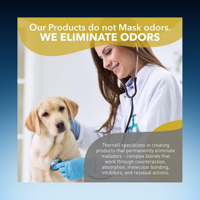All-In-One Cleaning + Odor Removal