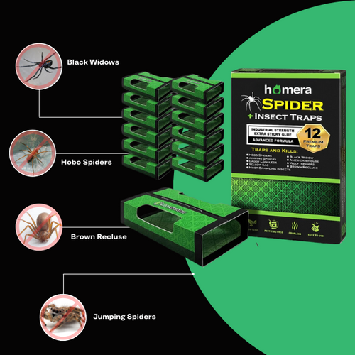 Homera Spider Traps