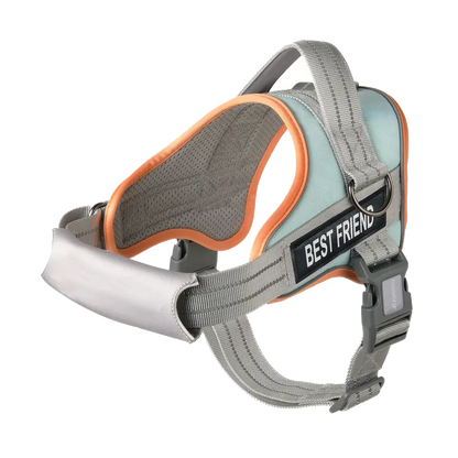 LifeGuard No-Pull Dog Harness