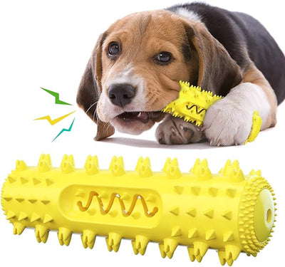 Dog Toothbrush Chew Toy