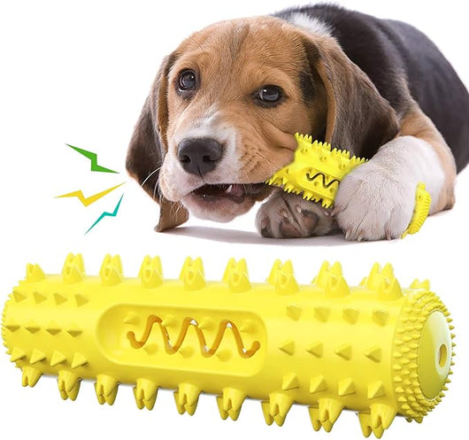 Dog Toothbrush Chew Toy